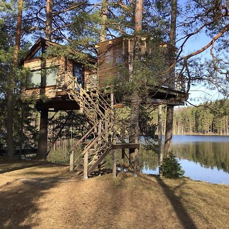 Treehouse Ciekurs Villa Dukuri Dış mekan fotoğraf