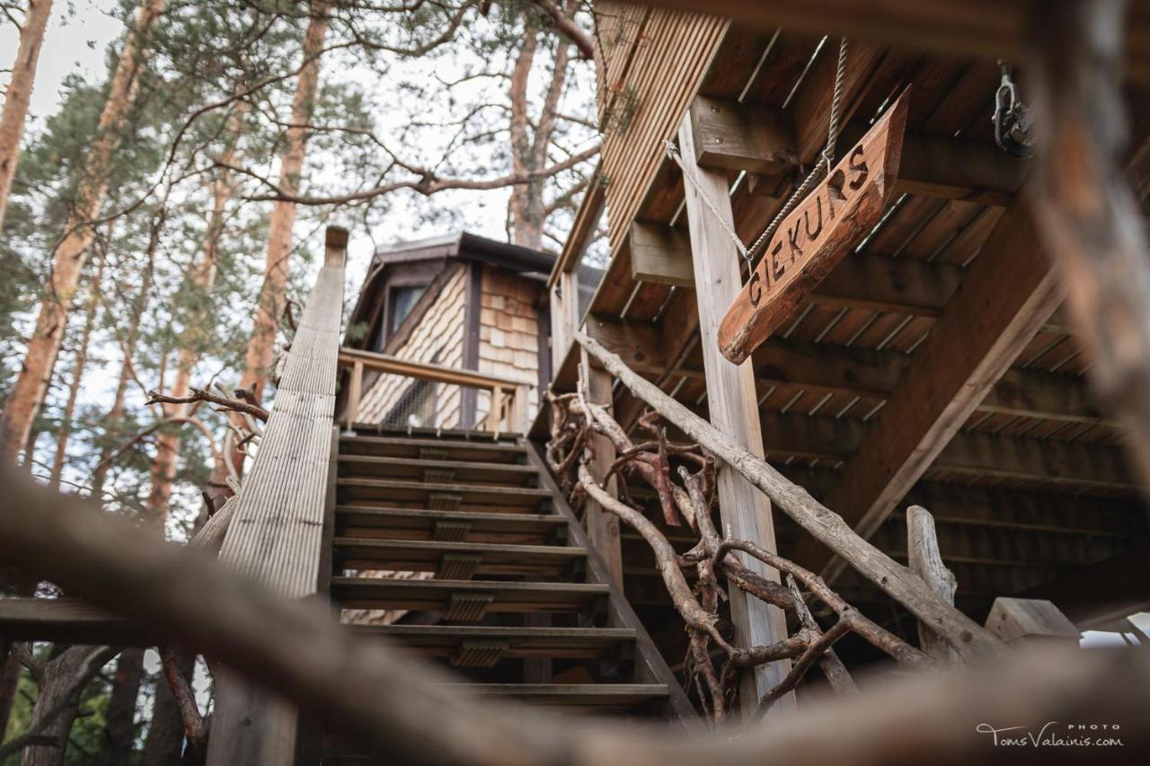 Treehouse Ciekurs Villa Dukuri Dış mekan fotoğraf