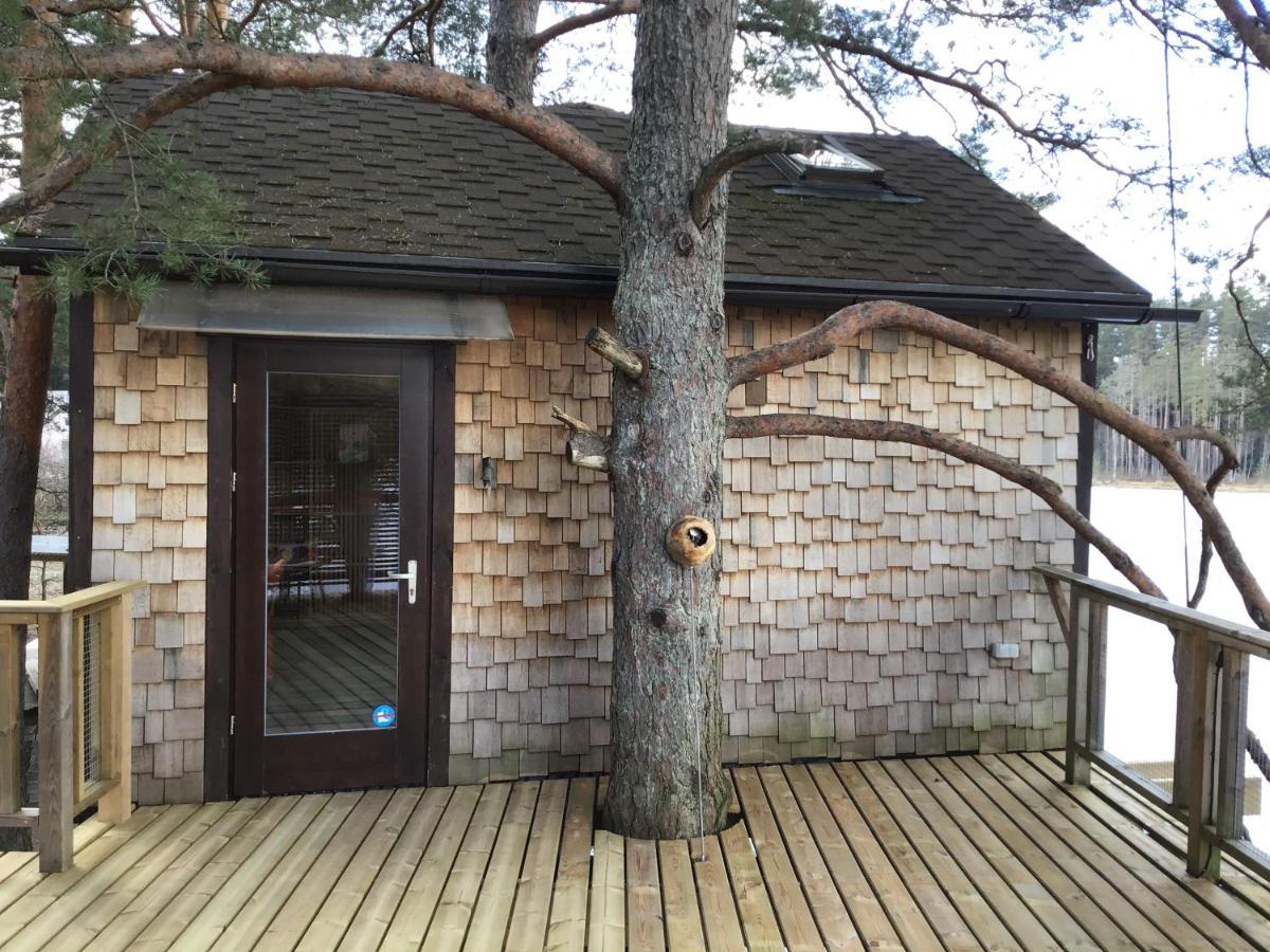 Treehouse Ciekurs Villa Dukuri Dış mekan fotoğraf