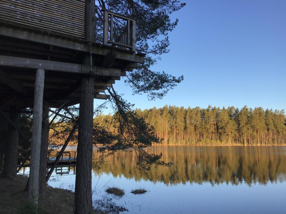 Treehouse Ciekurs Villa Dukuri Dış mekan fotoğraf