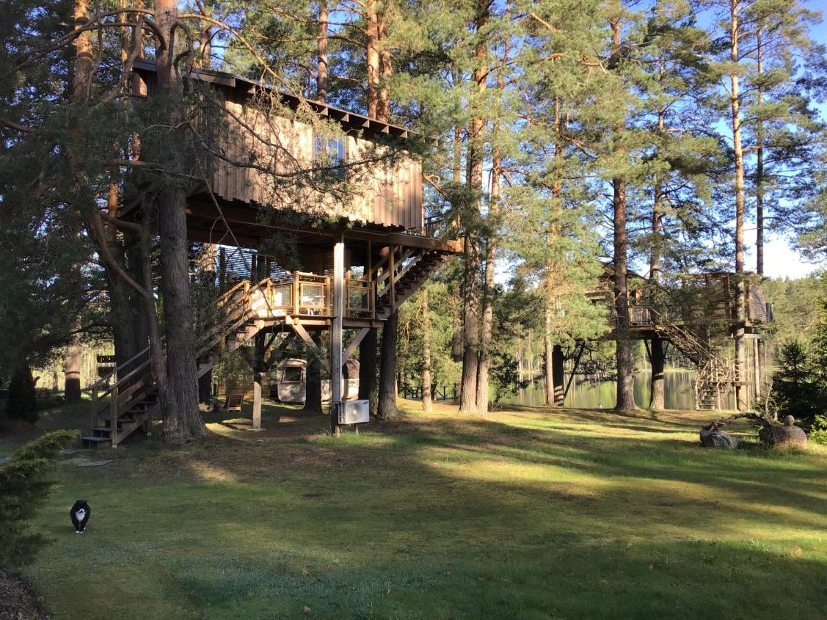 Treehouse Ciekurs Villa Dukuri Dış mekan fotoğraf