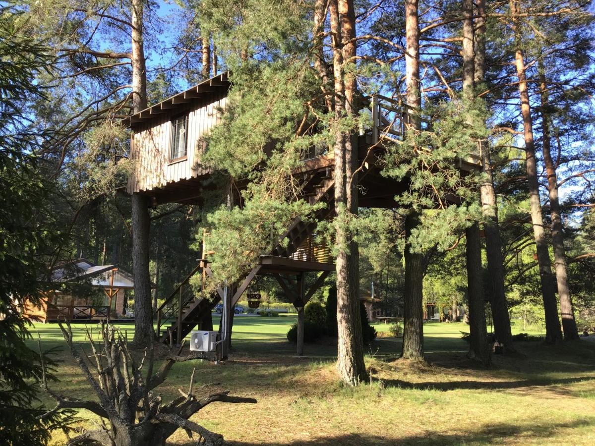 Treehouse Ciekurs Villa Dukuri Dış mekan fotoğraf