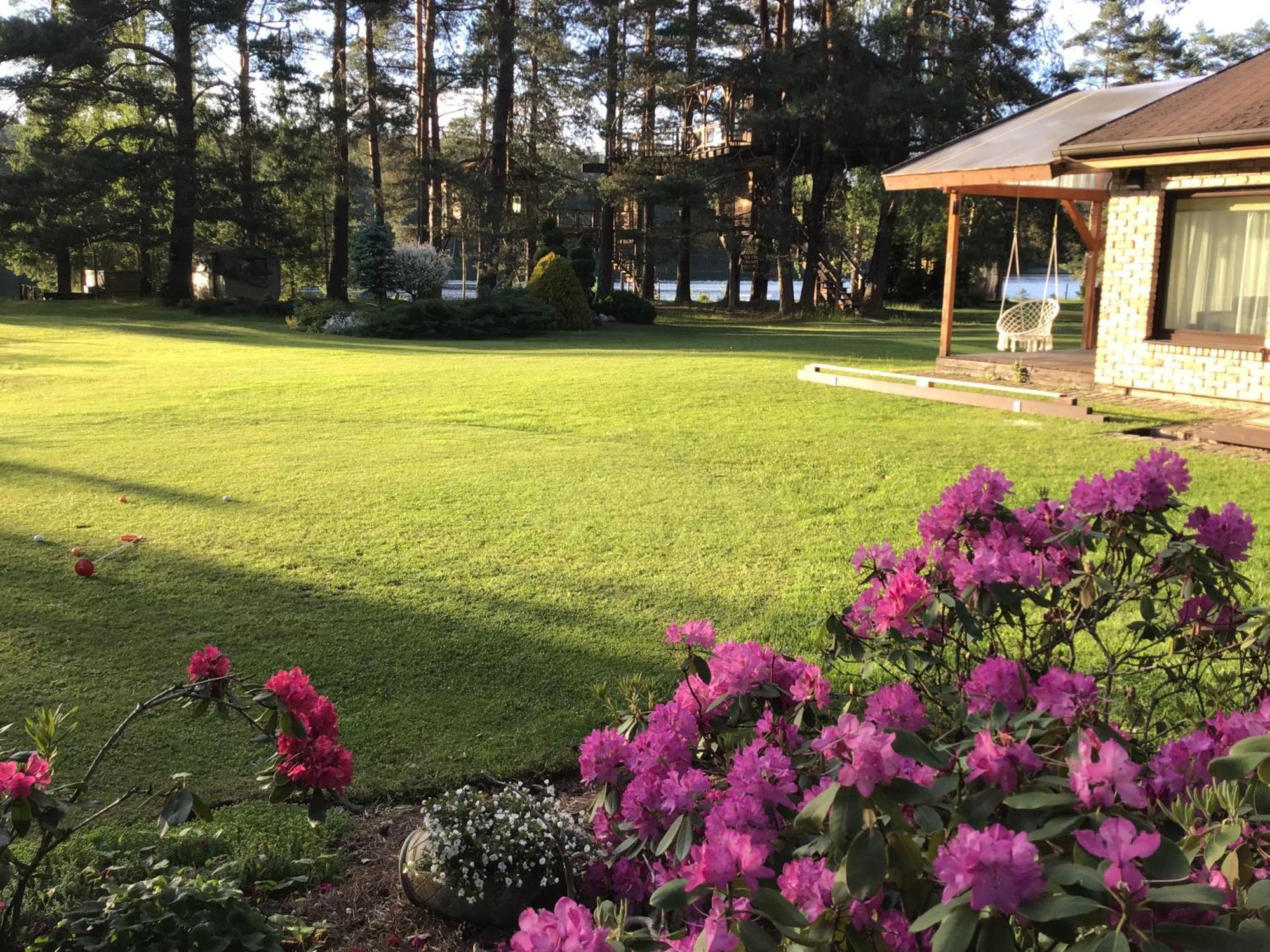 Treehouse Ciekurs Villa Dukuri Dış mekan fotoğraf