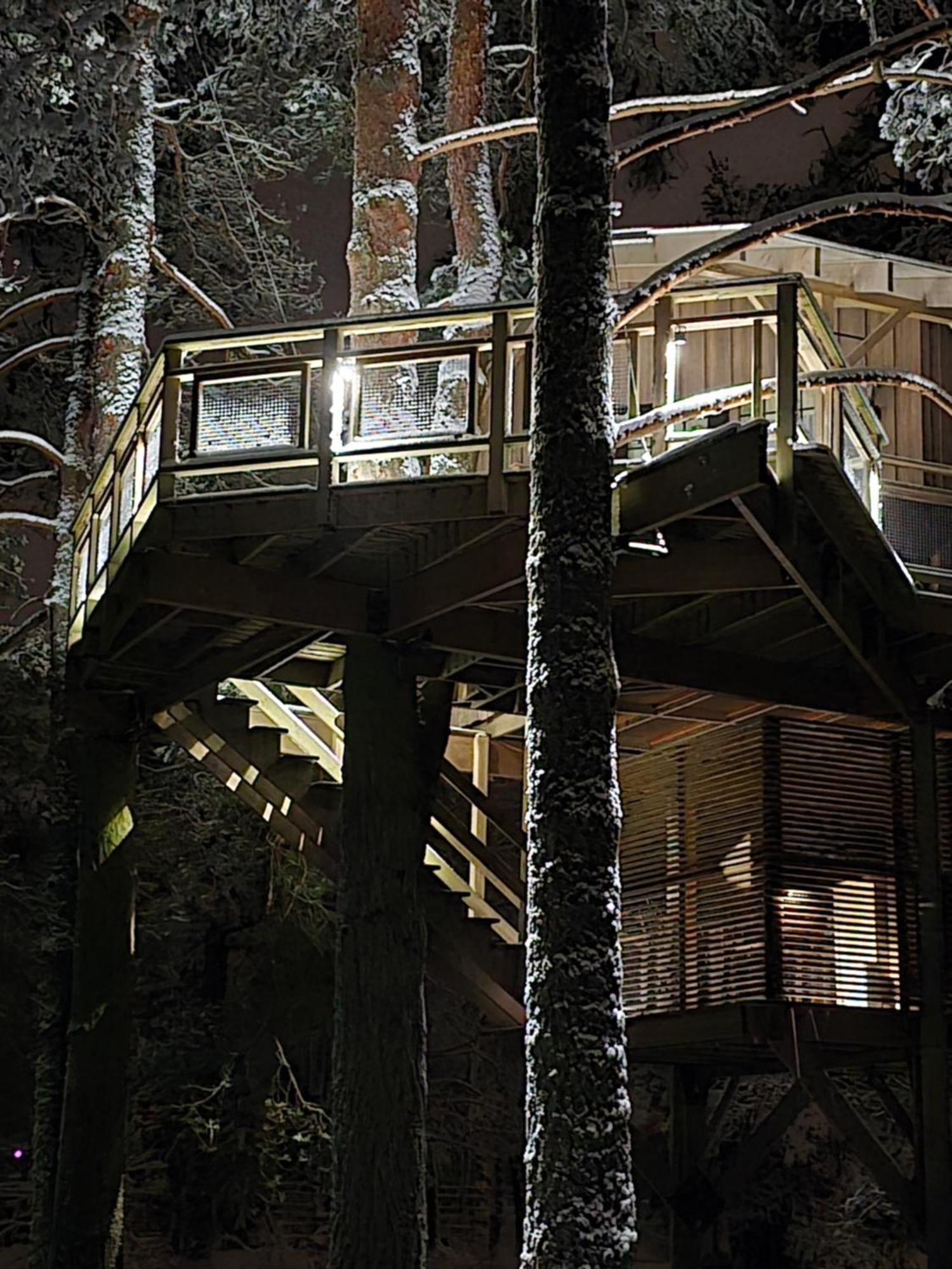 Treehouse Ciekurs Villa Dukuri Dış mekan fotoğraf