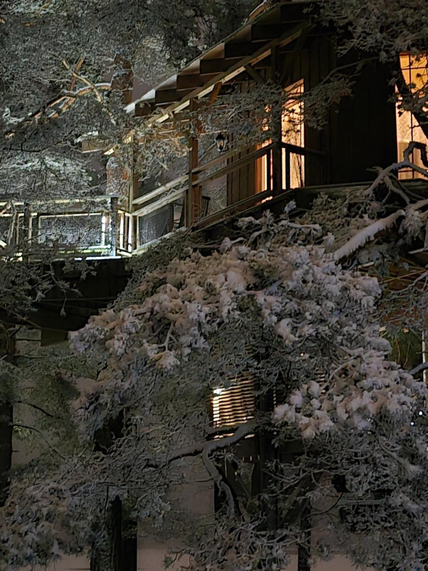 Treehouse Ciekurs Villa Dukuri Dış mekan fotoğraf
