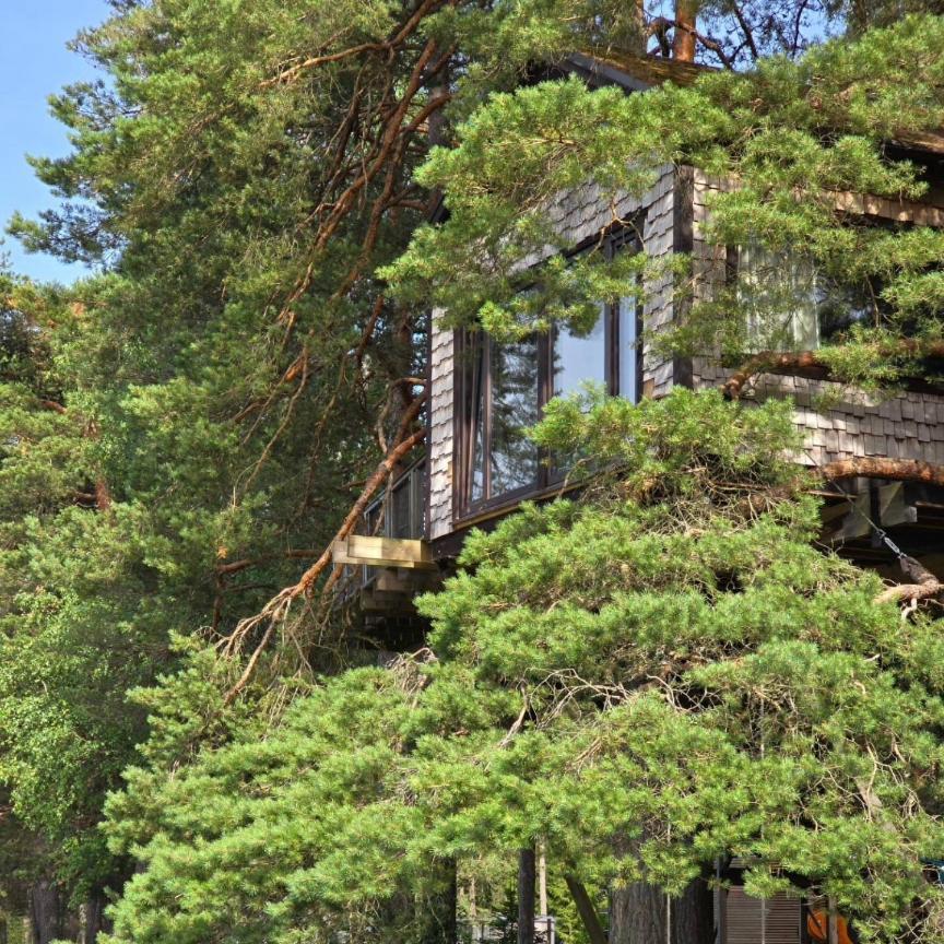 Treehouse Ciekurs Villa Dukuri Dış mekan fotoğraf