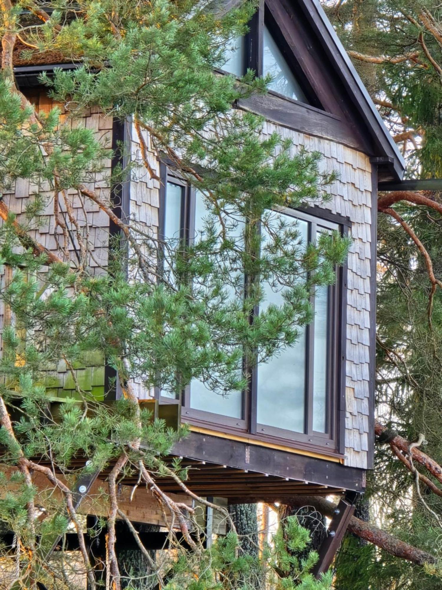 Treehouse Ciekurs Villa Dukuri Dış mekan fotoğraf