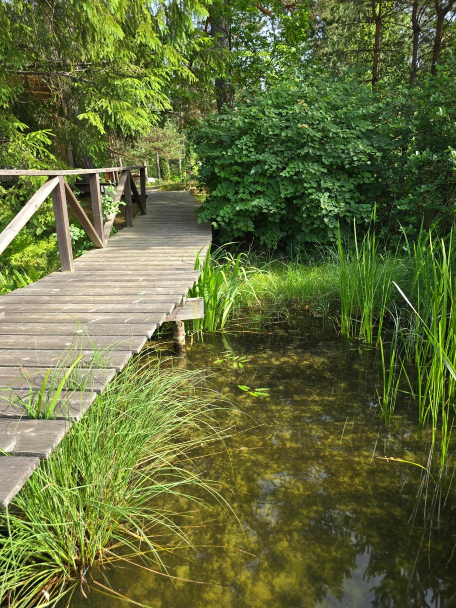 Treehouse Ciekurs Villa Dukuri Dış mekan fotoğraf
