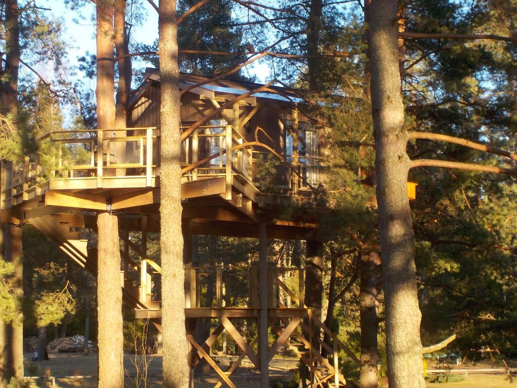 Treehouse Ciekurs Villa Dukuri Dış mekan fotoğraf