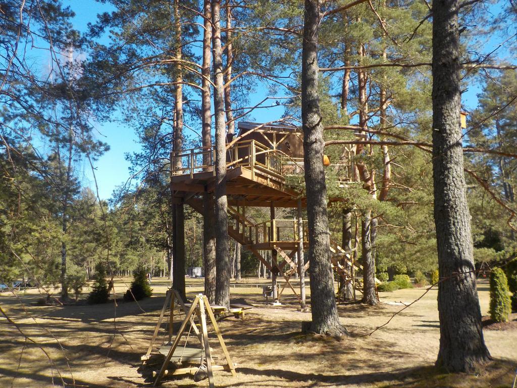 Treehouse Ciekurs Villa Dukuri Dış mekan fotoğraf