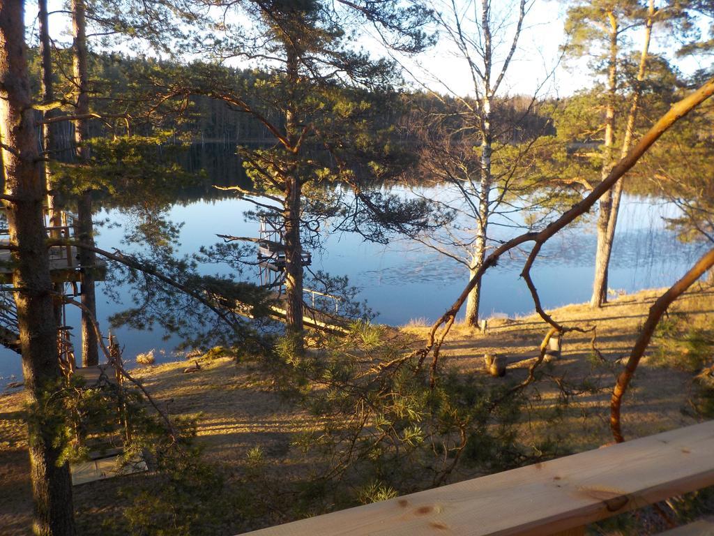 Treehouse Ciekurs Villa Dukuri Dış mekan fotoğraf