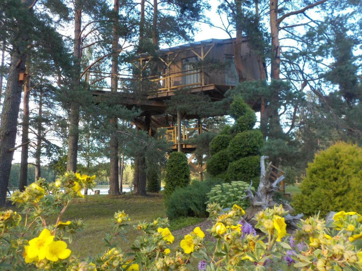 Treehouse Ciekurs Villa Dukuri Dış mekan fotoğraf